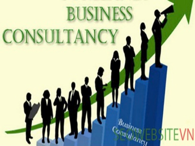 Consultancy Services